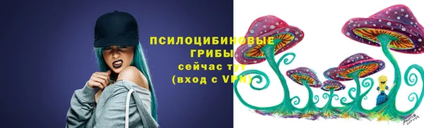 PSILOCYBIN Бородино