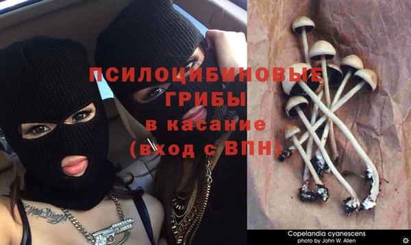 ГАЛЛЮЦИНОГЕННЫЕ ГРИБЫ Бронницы