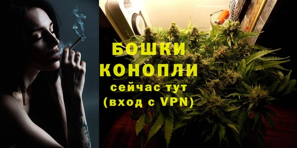 PSILOCYBIN Бородино