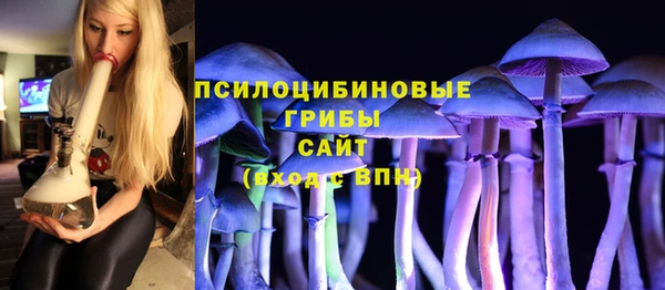 молекула духа Бугульма